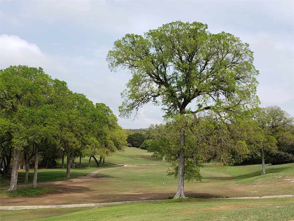 4504 Outpost Trace Lago Vista, TX 78645