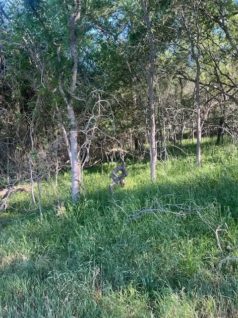 768 Kaukonahua Lane Bastrop, TX 78602
