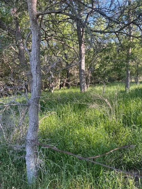 768 Kaukonahua Lane Bastrop, TX 78602