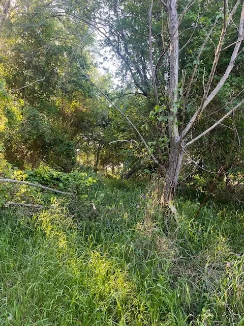 768 Kaukonahua Lane Bastrop, TX 78602