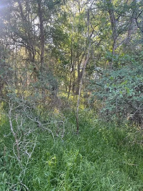 768 Kaukonahua Lane Bastrop, TX 78602