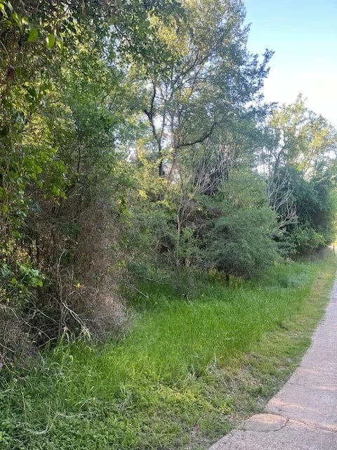 768 Kaukonahua Lane Bastrop, TX 78602