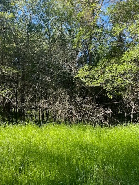 768 Kaukonahua Lane Bastrop, TX 78602