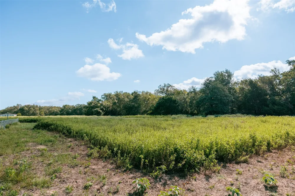 161 County Road 441 Thorndale, TX 76577