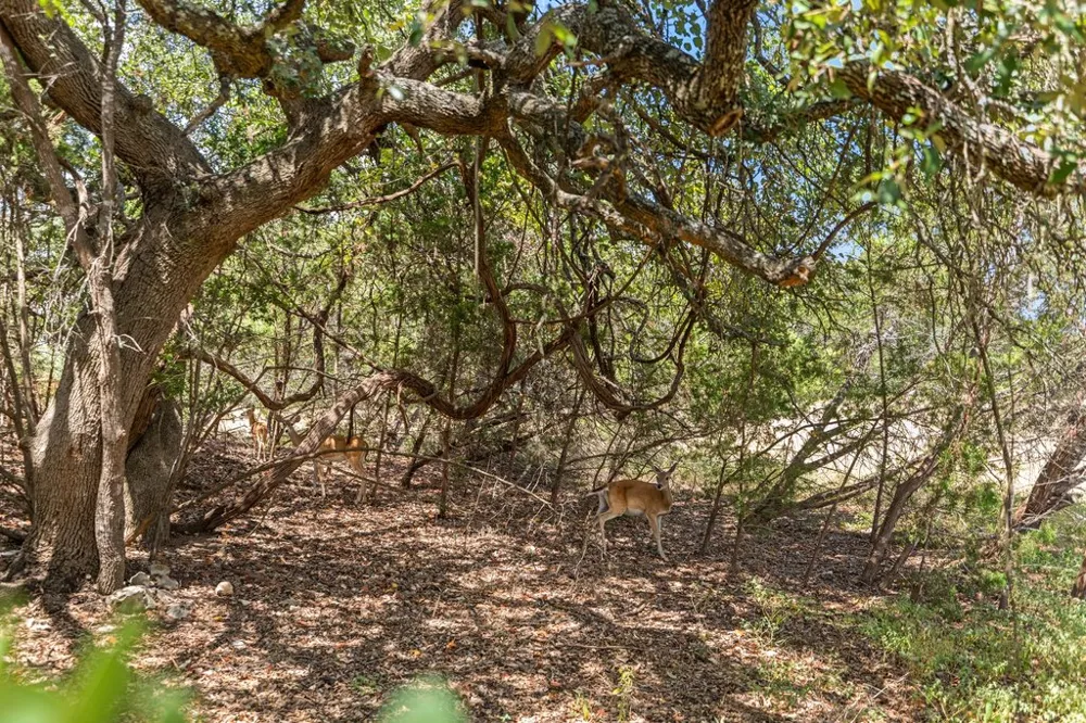 8 Stone Creek Circle Wimberley, TX 78676
