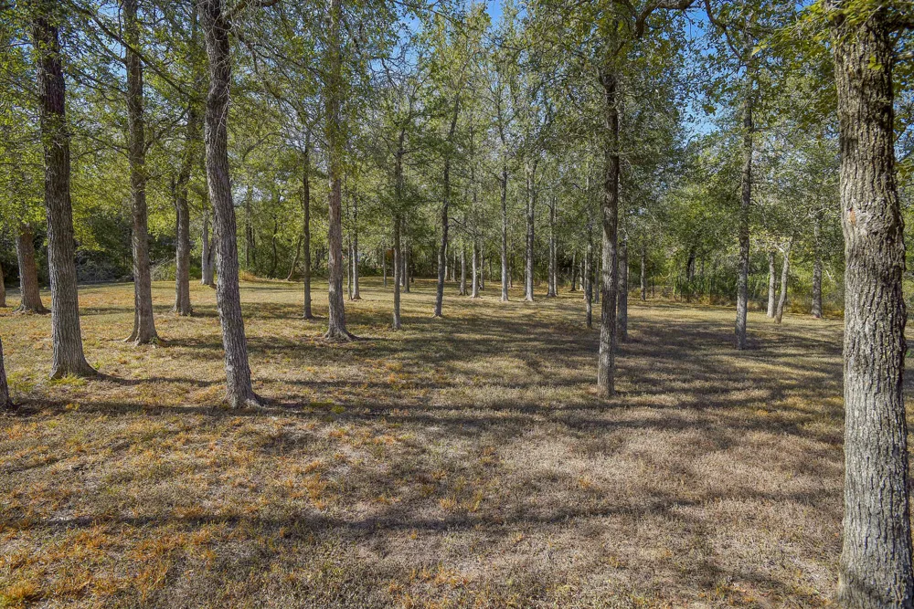 384 Pope Bend Road Cedar Creek, TX 78612