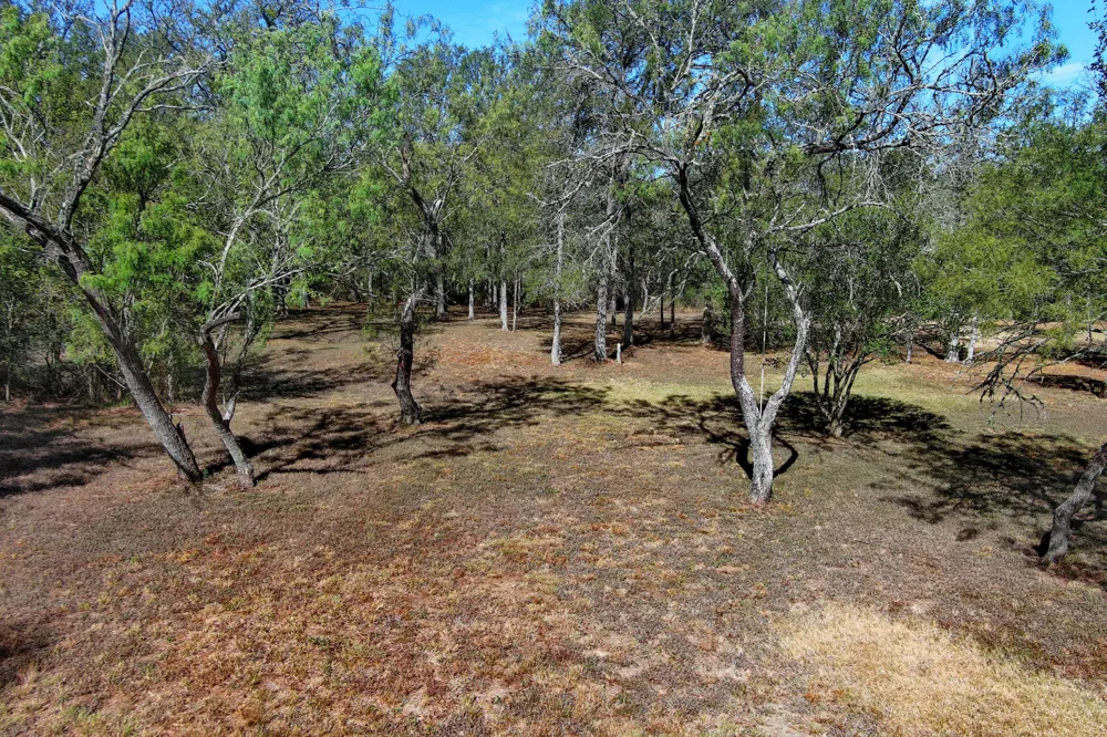 384 Pope Bend Road Cedar Creek, TX 78612