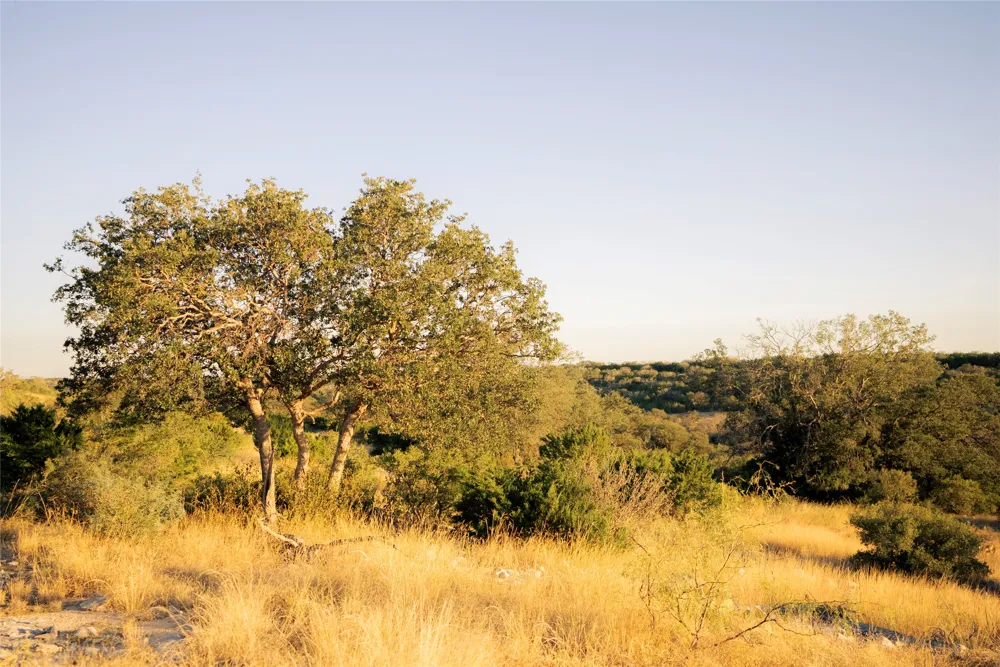 Sutton County Rd 406 Road Sonora, TX 76950