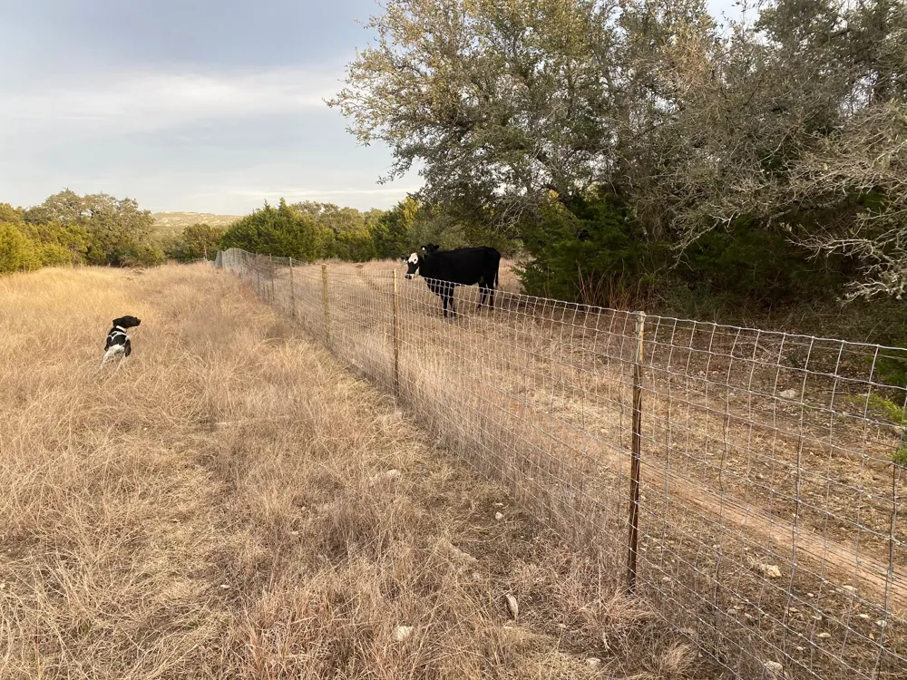 94 E. Dripping View Court Blanco, TX 78606
