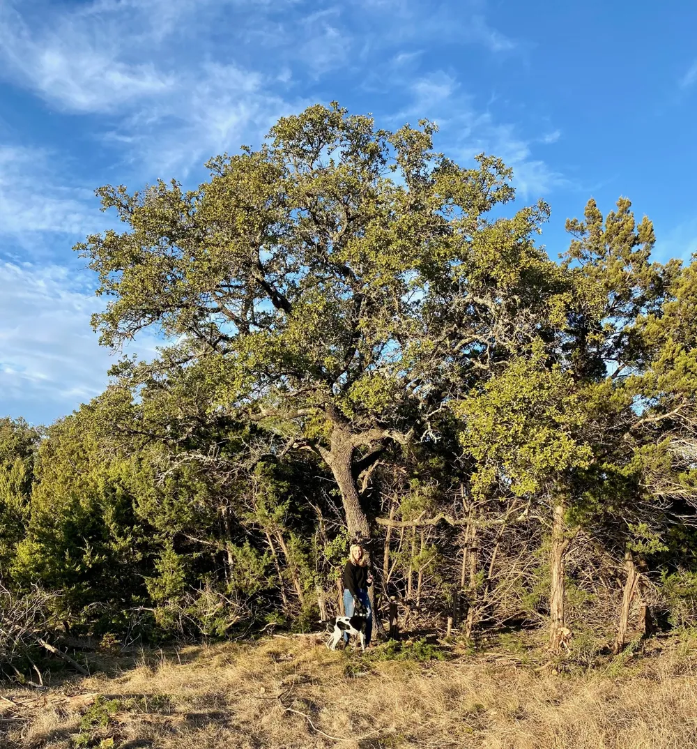 94 E. Dripping View Court Blanco, TX 78606