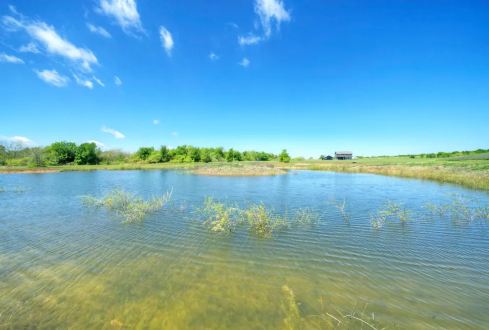 4201 County Road 463 Elgin, TX 78621