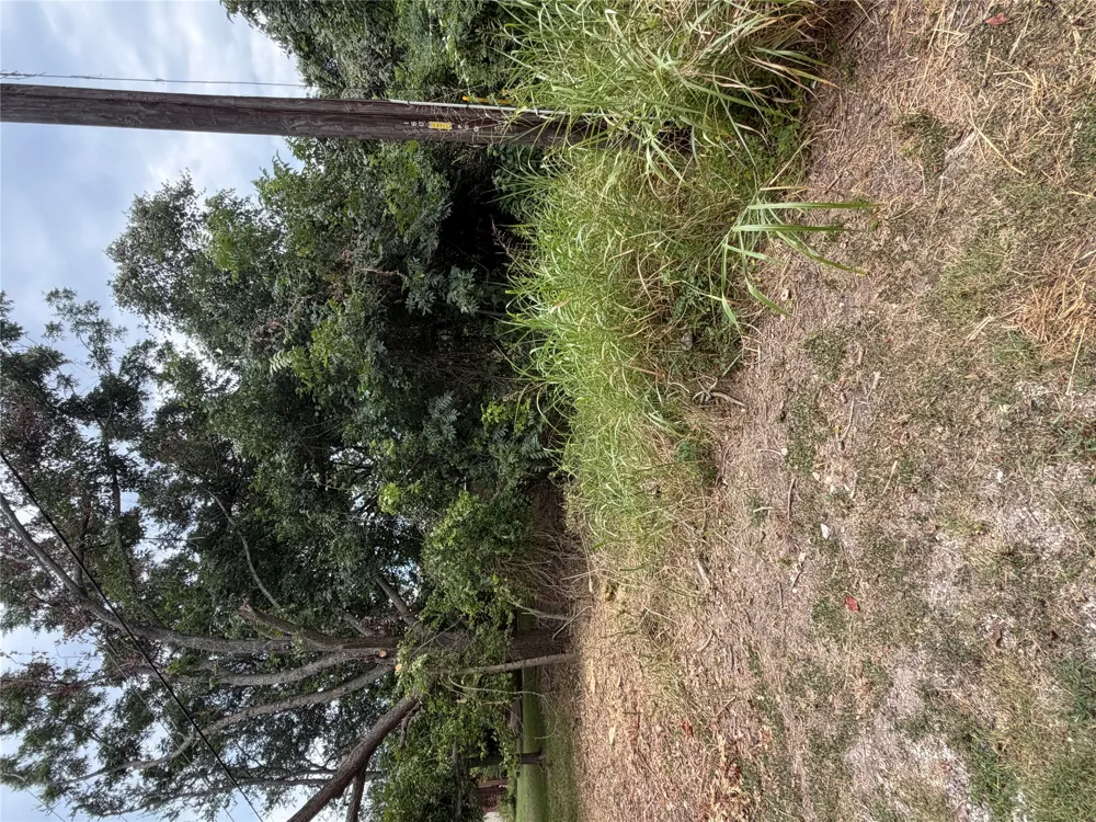 161 Kahana Lane Bastrop, TX 78602