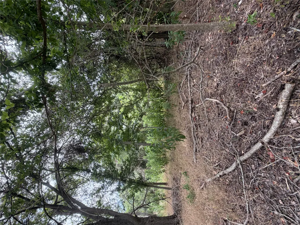 161 Kahana Lane Bastrop, TX 78602