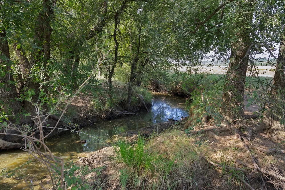 FM 1176 S Santa Anna, TX 76878