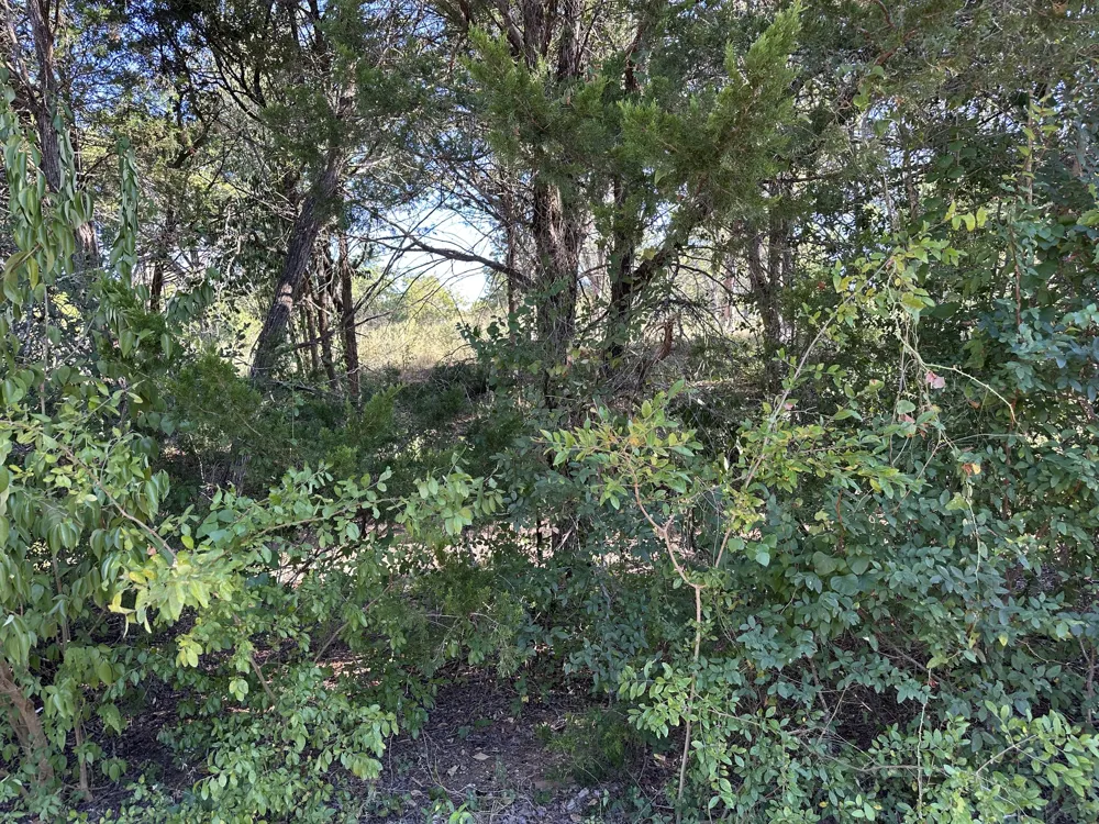 9 Robin Run Bastrop, TX 78602