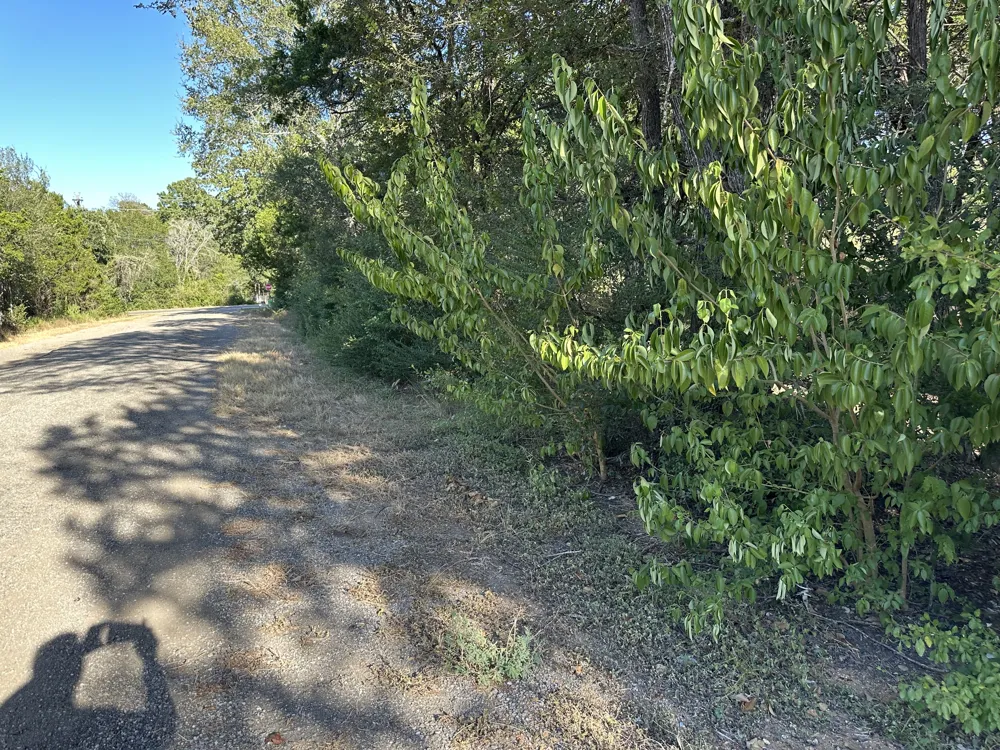 9 Robin Run Bastrop, TX 78602