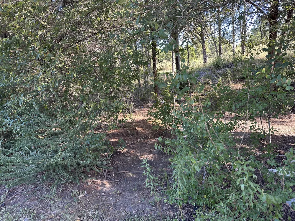 9 Robin Run Bastrop, TX 78602