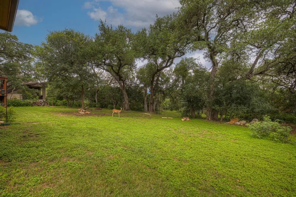 1937 HUNTERS CV New Braunfels, TX 78132