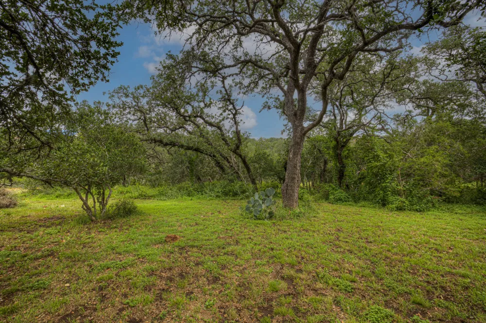 1937 HUNTERS CV New Braunfels, TX 78132