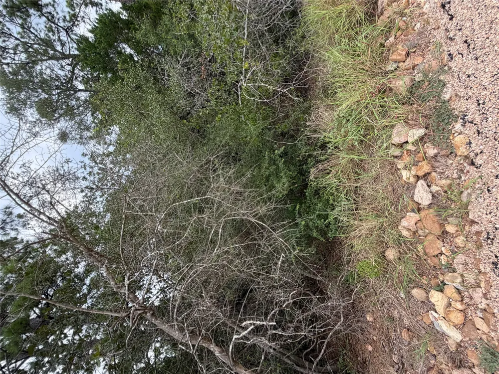 407 Molokini Drive Bastrop, TX 78602