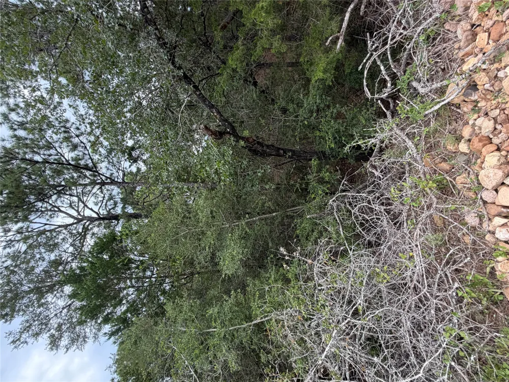 407 Molokini Drive Bastrop, TX 78602