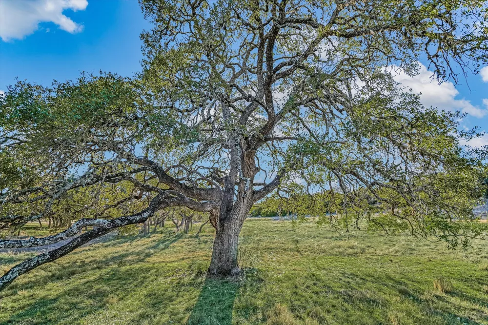 4698 FISCHER STORE ROAD Wimberley, TX 78676