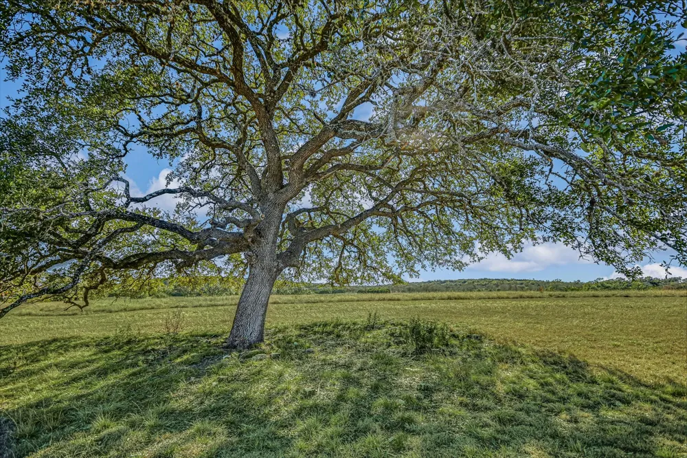 4698 FISCHER STORE ROAD Wimberley, TX 78676