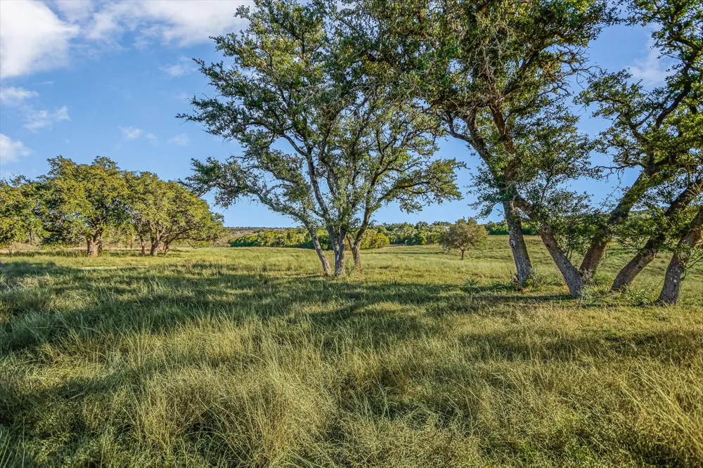 4698 FISCHER STORE ROAD Wimberley, TX 78676