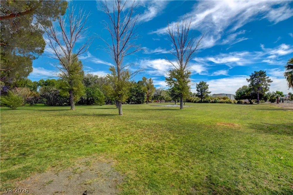 660 Scott Avenue Overton, NV 89040