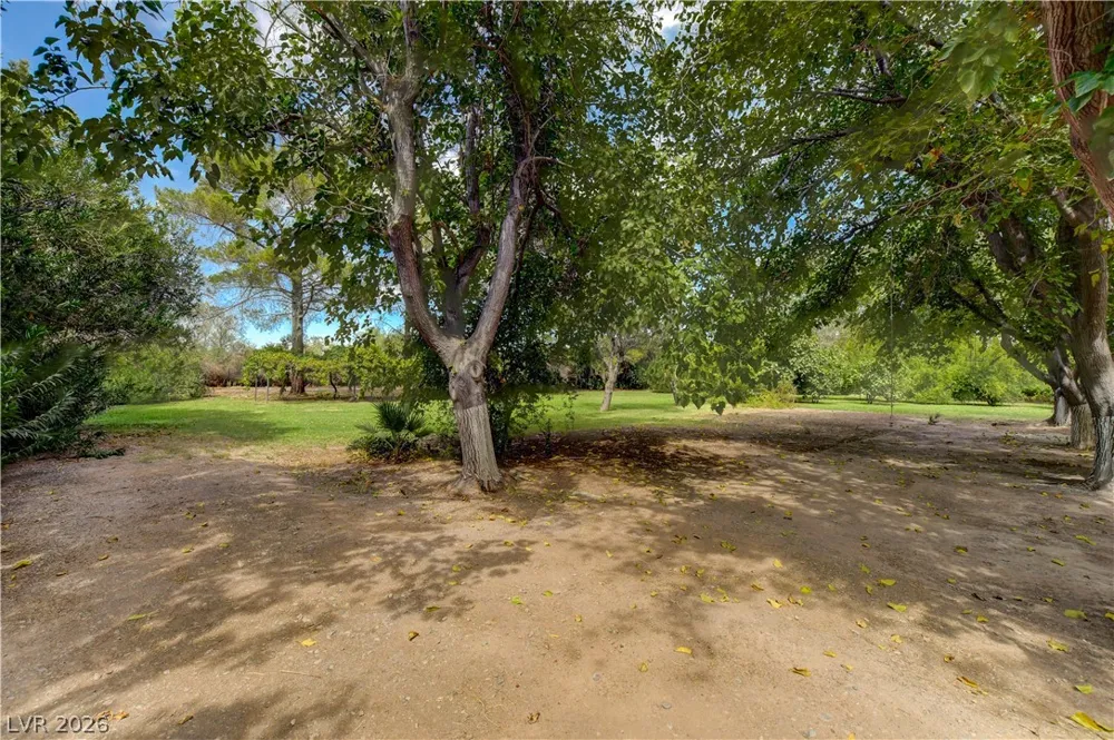 660 Scott Avenue Overton, NV 89040