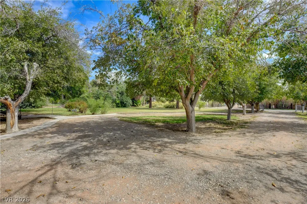 660 Scott Avenue Overton, NV 89040