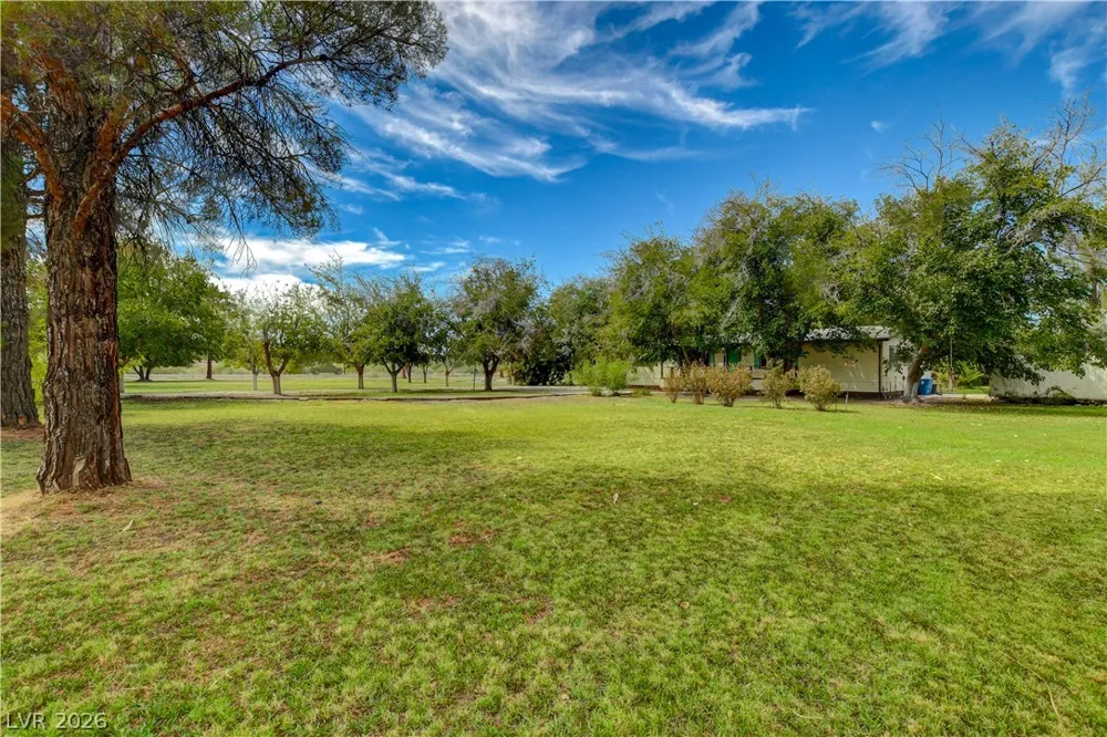 660 Scott Avenue Overton, NV 89040