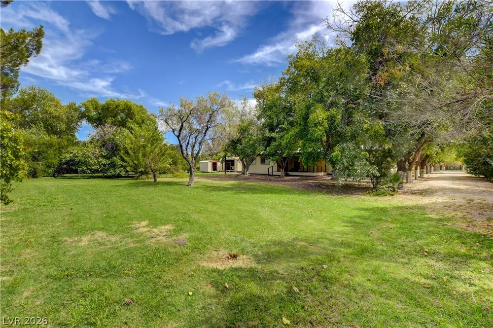 660 Scott Avenue Overton, NV 89040