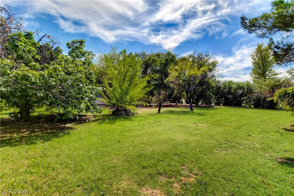 660 Scott Avenue Overton, NV 89040