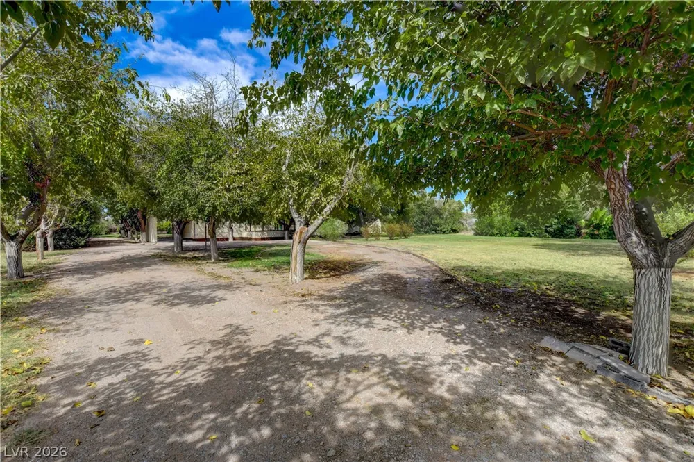660 Scott Avenue Overton, NV 89040