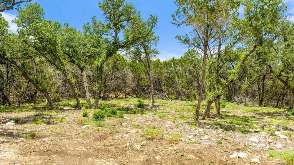 8 Cypress Cove Road Spring Branch, TX 78070