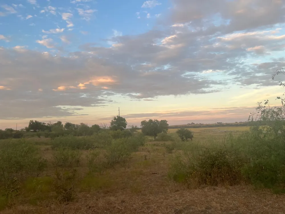 37 County Road 453 Coupland, TX 78615