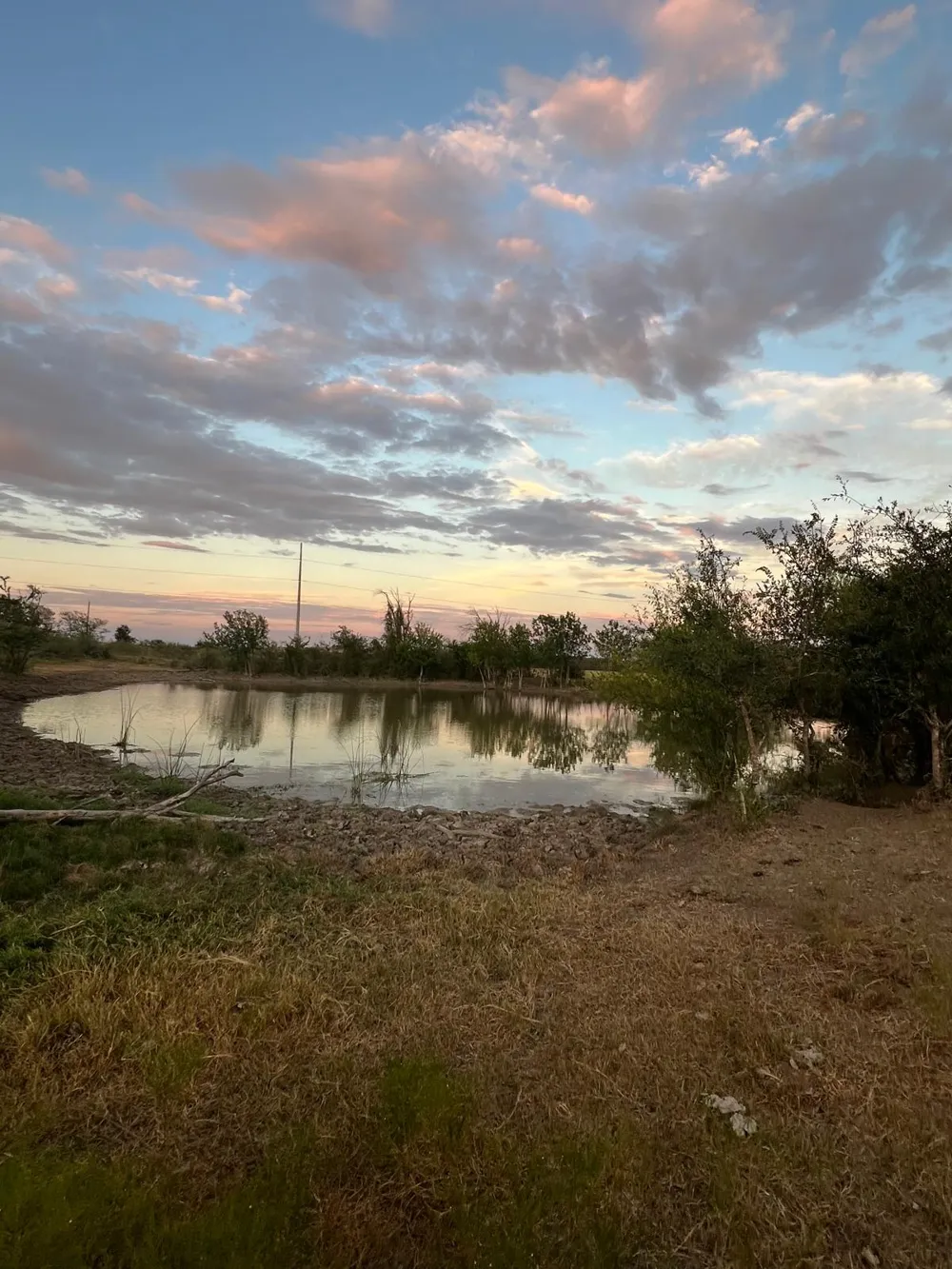 37 County Road 453 Coupland, TX 78615