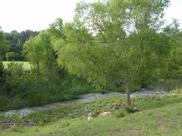 1 Chandon Lane Lakeway, TX 78734
