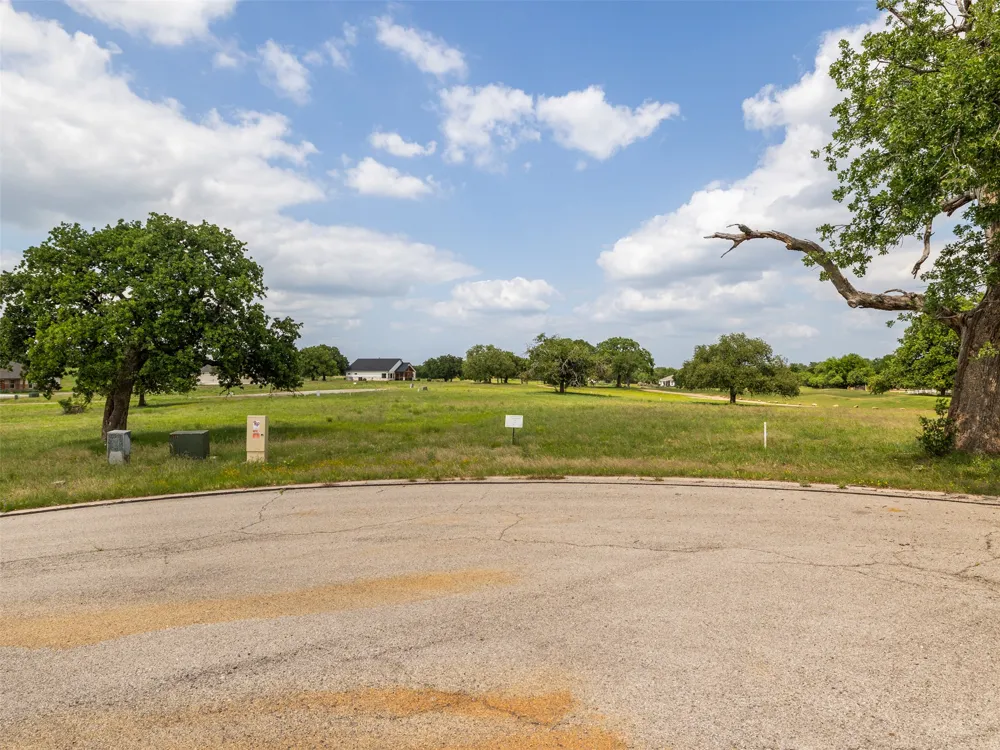 54 Pryor Place Court Kingsland, TX 78639