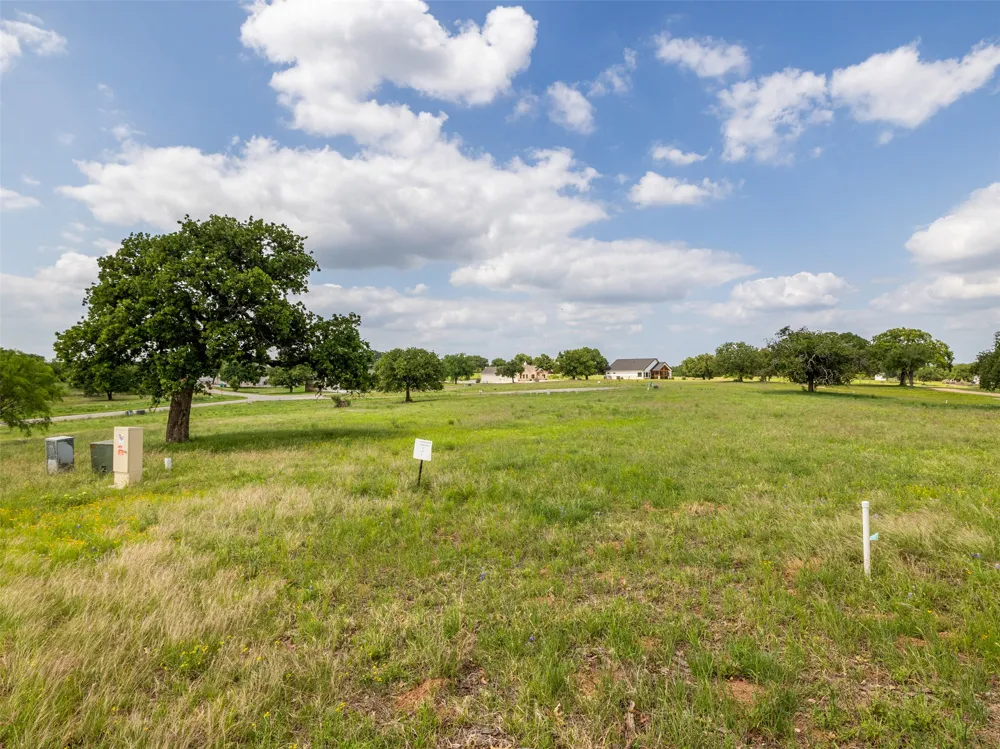 54 Pryor Place Court Kingsland, TX 78639