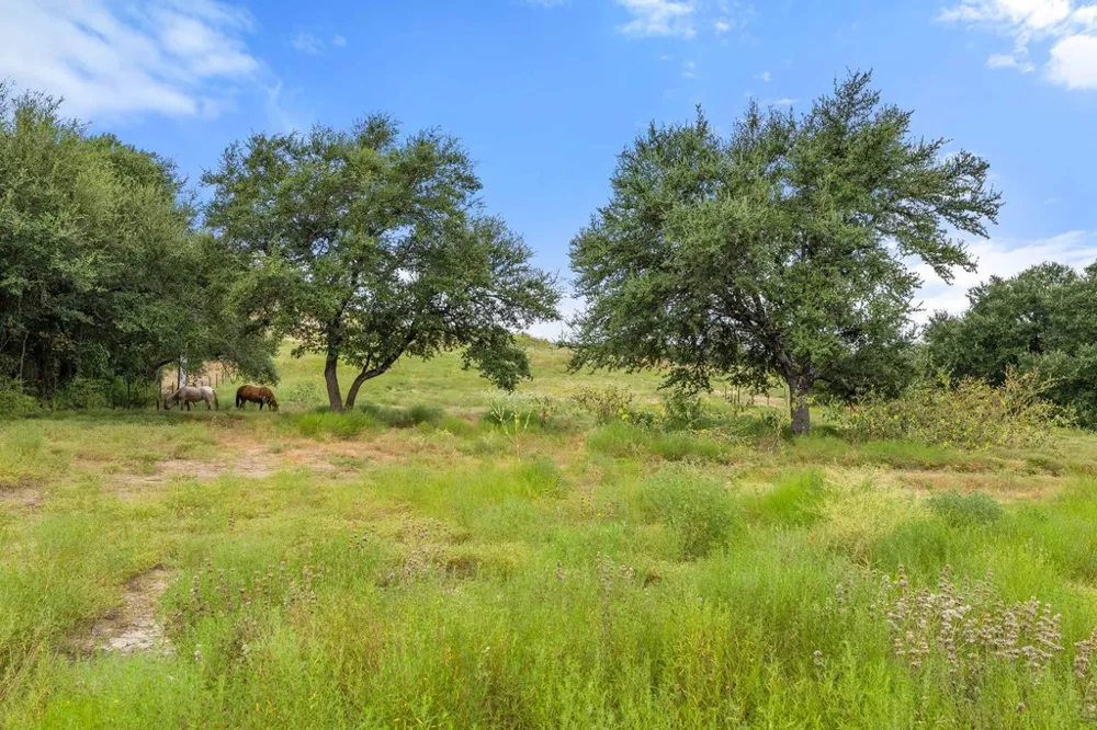 15801 Palomino Ranch Drive Leander, TX 78641