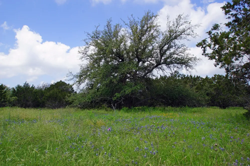 350 Apache Springs Road Briggs, TX 78608