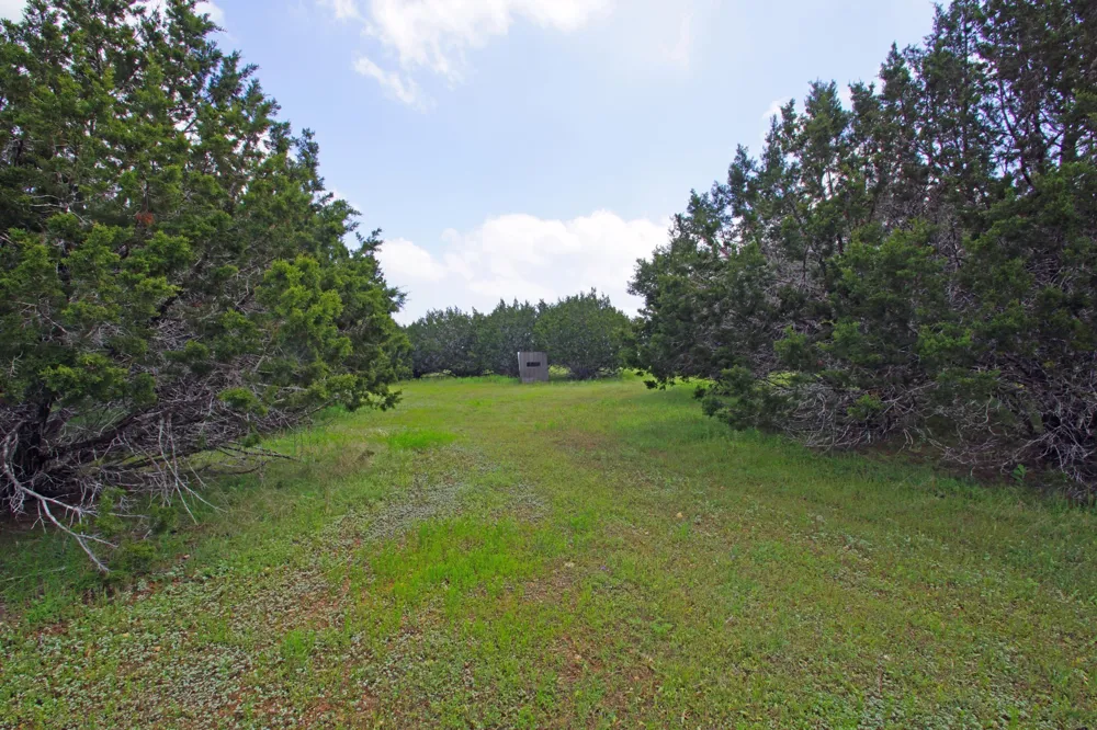 350 Apache Springs Road Briggs, TX 78608