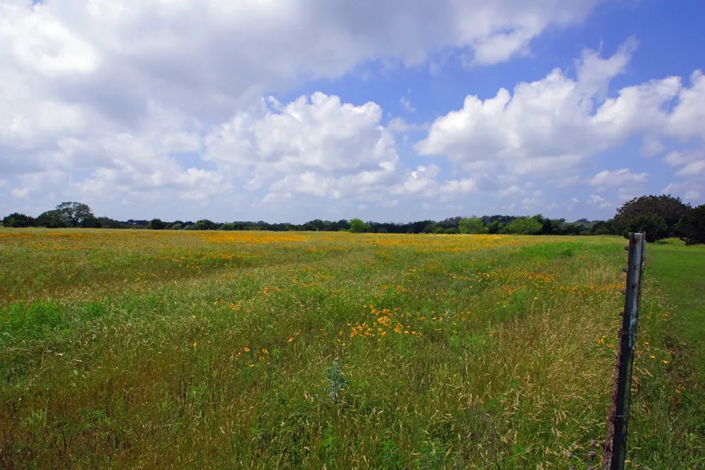 350 Apache Springs Road Briggs, TX 78608
