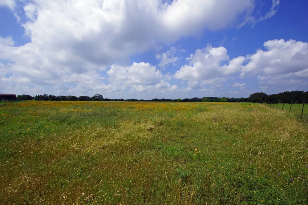 350 Apache Springs Road Briggs, TX 78608