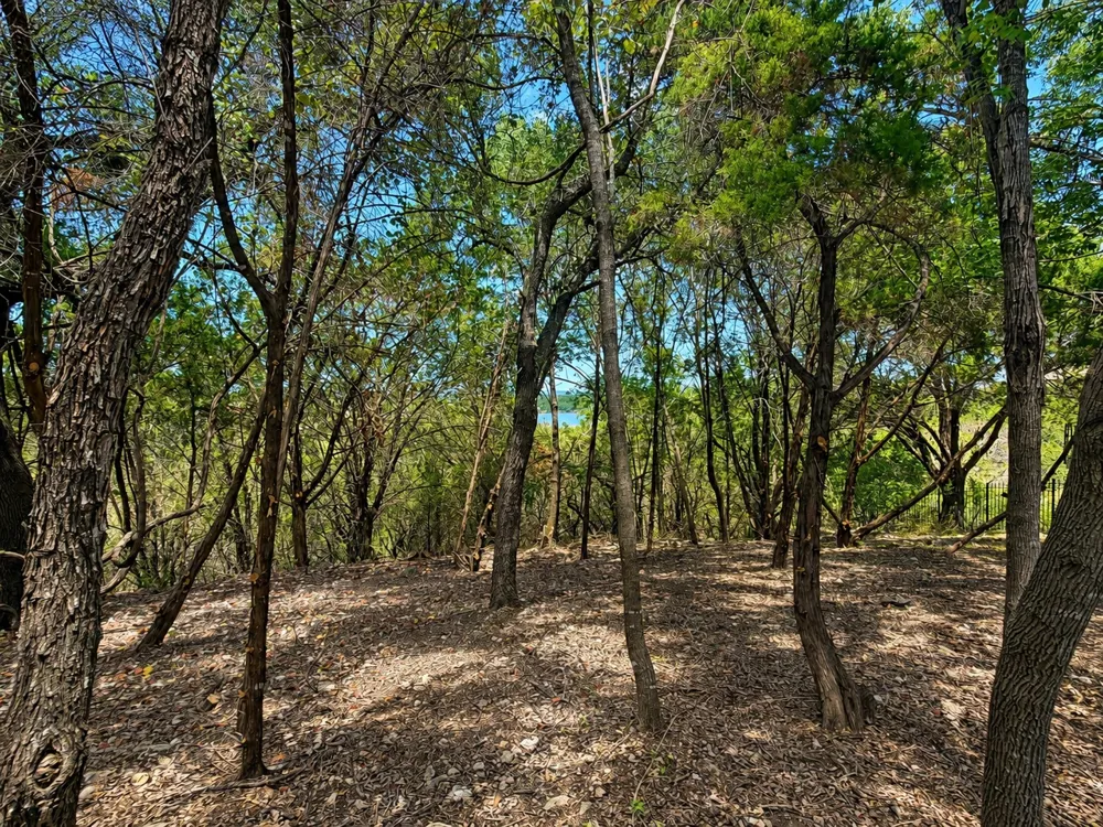 5 Courtside Lane Spicewood, TX 78669