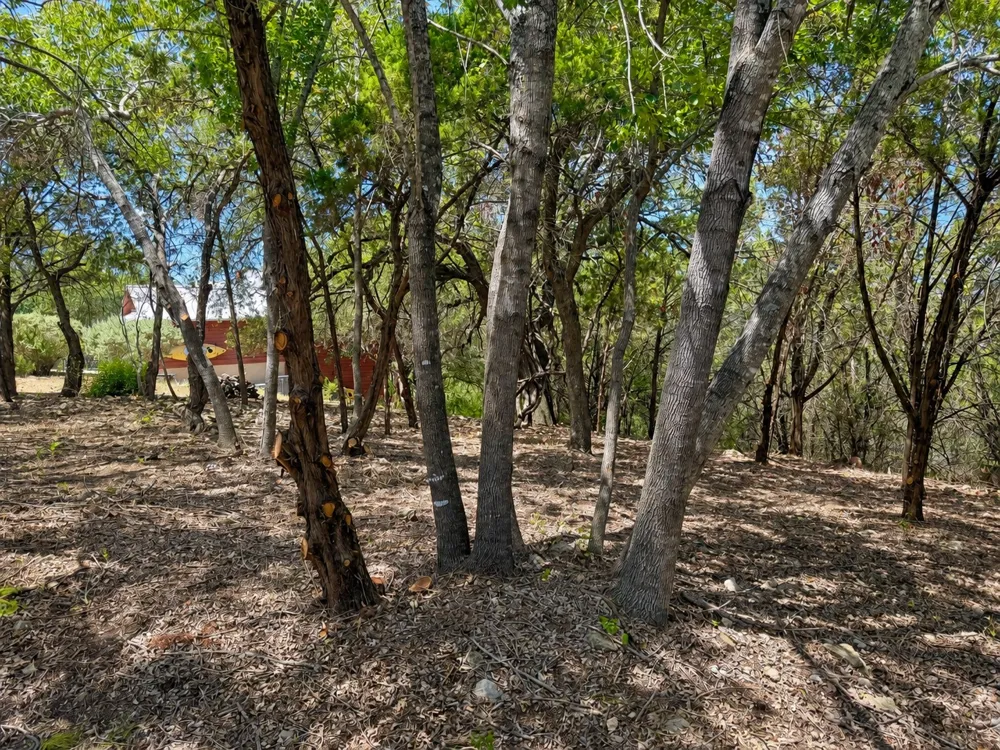5 Courtside Lane Spicewood, TX 78669