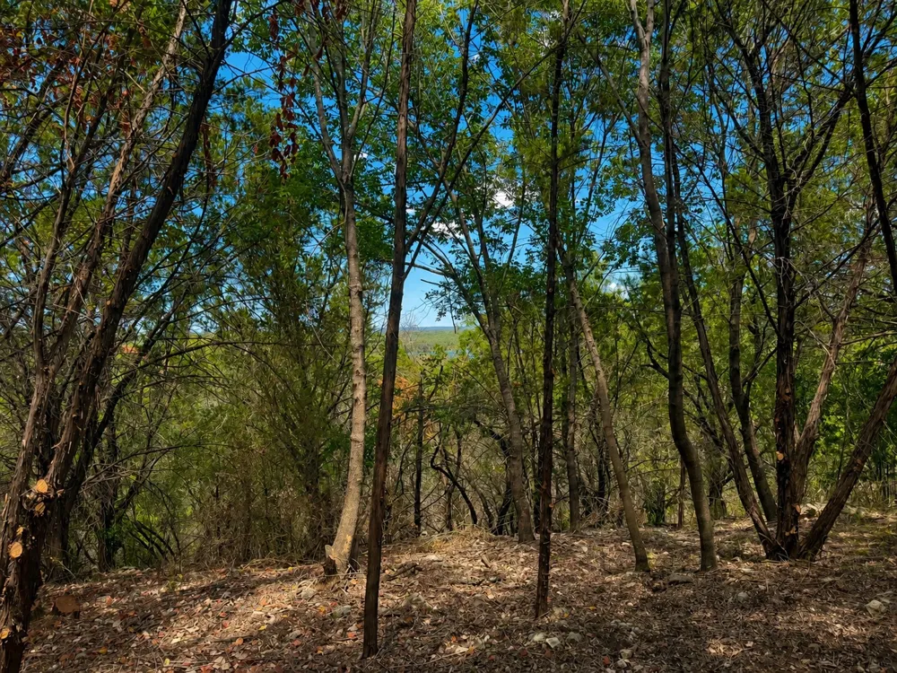 5 Courtside Lane Spicewood, TX 78669