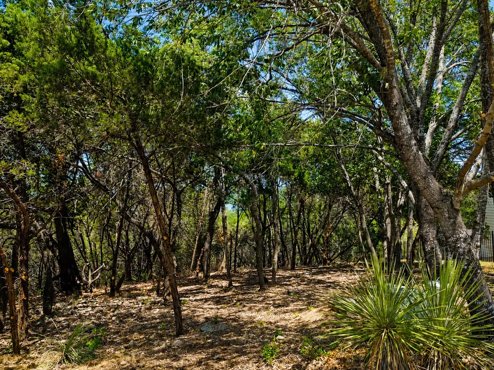5 Courtside Lane Spicewood, TX 78669